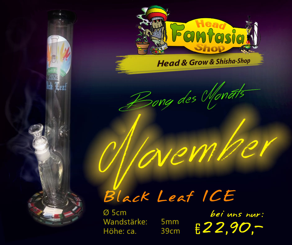 Bong Des Monats Fantasia Headshop Oldenburg